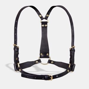 Fleet Ilya D harness